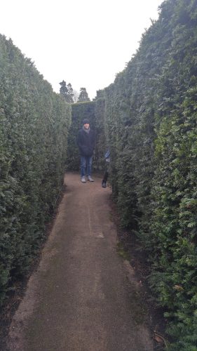 Cristian Dávila in a hedge maze somewhere in the United Kingdom 2016